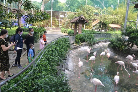 Thảo cầm viên Sài Gòn đã mở cửa đón khách tham quan.