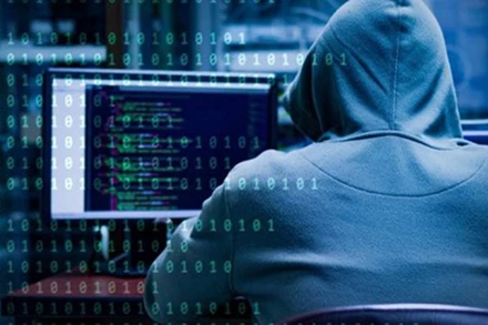 Ảnh minh họa. (Nguồn: TTXVN/Olhardigital)