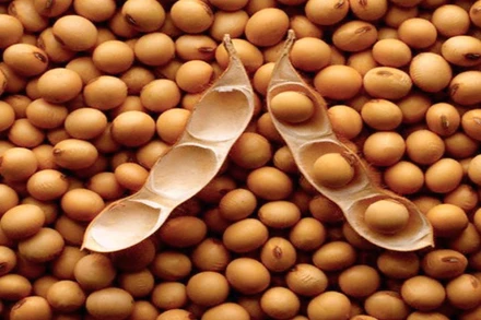 Ảnh minh họa. (Ảnh: Reuters)