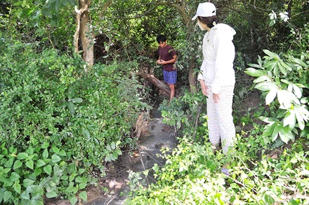 Xưởng chế biến hạt điều của Công ty TNHH Quang Sơn xả thải gây ô nhiễm môi trường.