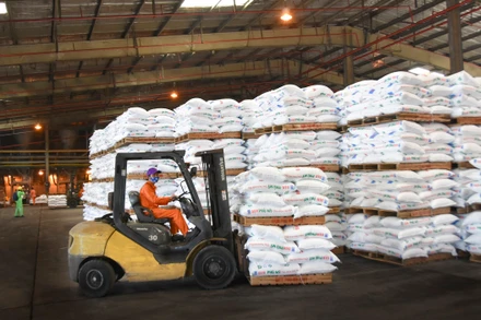 PVFCCo 15 lần liên tiếp được vinh danh Top 500 Doanh nghiệp lớn nhất Việt Nam.