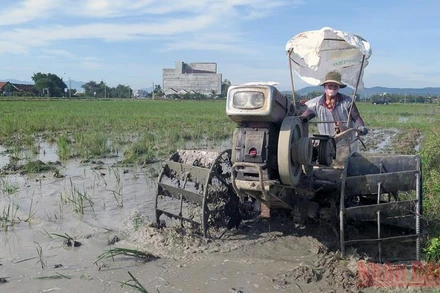 Nông dân xã Hòa An, huyện Phú Hòa, Phú Yên khẩn trương làm đất gieo sạ vụ Đông Xuân 2021-2022.