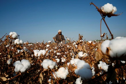 Ảnh minh họa. (Ảnh: Reuters)