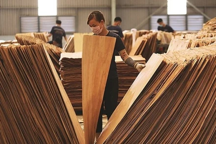 Doanh nghiệp Việt đang phải cạnh tranh trực tiếp với các doanh nhân Trung Quốc trong việc thu mua ván bóc của Việt Nam. Ảnh minh họa. (Nguồn:congthuong.vn)