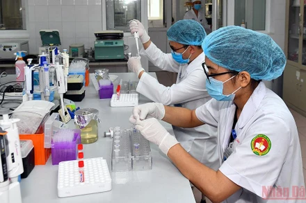 Nghiên cứu vaccine Nanocovax trong phòng thí nghiệm. (Ảnh: DUY LINH)