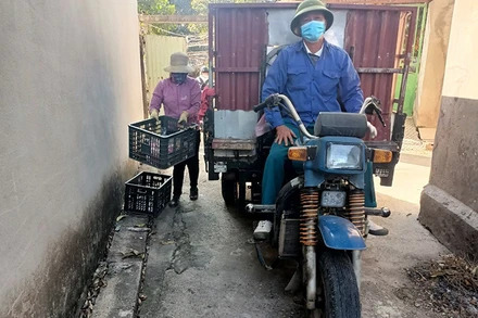 Tổ vệ sinh môi trường Đông Long (xã Quảng Minh, huyện Việt Yên, tỉnh Bắc Giang) thu gom rác thải.