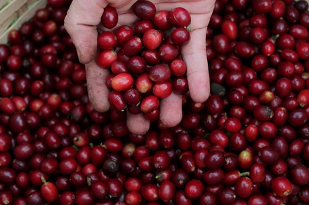 Ảnh minh họa. (Ảnh: Reuters)