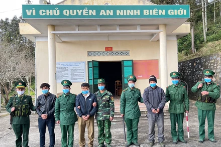 Các đội tượng bị lực lượng Bộ đội biên phòng bắt giữ.