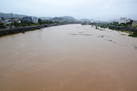 Lũ lớn trên thượng nguồn sông Hồng, đoạn chảy qua thành phố Lào Cai.