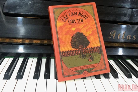 “Cây cam ngọt” mọc từ mảnh đất cằn