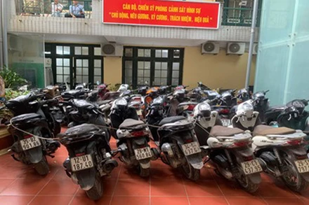 Hàng chục “xe SH” thu giữ từ băng nhóm trộm cắp.