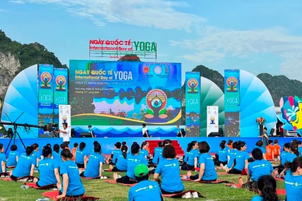 Ngày Quốc tế Yoga lần thứ 8 với sự tham dự của gần 3.000 người.