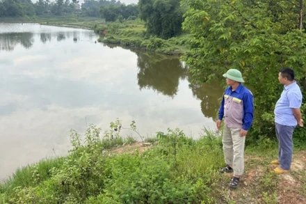 Đất cây lúa của 32 hộ dân bị ngập úng.