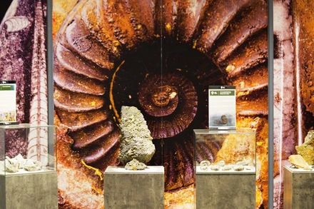 Lần đầu tiên vùng đất cổ sinh sẽ được tái hiện ngay trong khuôn khổ Festival Huế 2022.