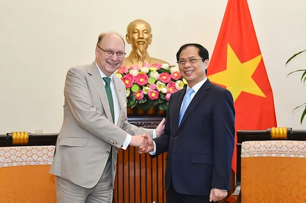 Bộ trưởng Ngoại giao Bùi Thanh Sơn tiếp Quốc Vụ khanh Bộ Ngoại giao Thụy Điển Robert Rydberg. (Ảnh: baoquocte.vn)