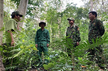 Ngoài áp lực công việc, còn nguyên nhân thu nhập thấp và công việc đối mặt với nguy hiểm tới tính mạng khiến nhiều cán bộ Kiểm lâm xin nghỉ việc, chuyển công tác khác.