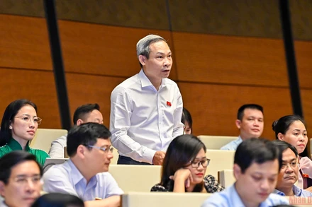 Đại biểu Phan Đức Hiếu phát biểu tại phiên thảo luận của Quốc hội chiều 13/6. (Ảnh: LINH NGUYÊN)