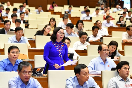 Đại biểu Lý Anh Thư (Kiên Giang) phát biểu tại phiên thảo luận của Quốc hội về dự án Luật Phòng, chống bạo lực gia đình (sửa đổi), chiều 14/6. (Ảnh: LINH NGUYÊN)