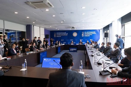 Quang cảnh đối thoại EAEU-ASEAN trong khuôn khổ diễn đàn. (Ảnh: THANH THỂ)