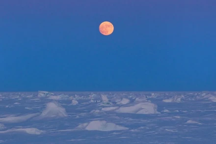 Mặt Trăng mọc tại Bắc Cực gần Phòng thí nghiệm Vật lý Ứng dụng 2011 ở phía bắc Vịnh Prudhoe, Alaska, ngày 18/3/2021. (Nguồn: REUTERS)