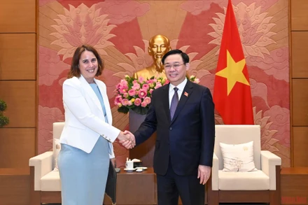 Chủ tịch Quốc hội Vương Đình Huệ và Đại sứ New Zealand Tredene Cherie Dobson tại buổi tiếp. (Ảnh: Duy Linh)