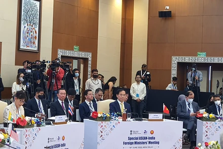 Đoàn Việt Nam dự Hội nghị đặc biệt Bộ trưởng Ngoại giao ASEAN-Ấn Độ.