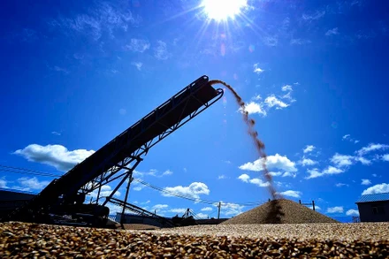 Xuất khẩu lương thực của cả Nga và Ukraine bị ảnh hưởng do xung đột. (Ảnh: TASS/TTXVN)