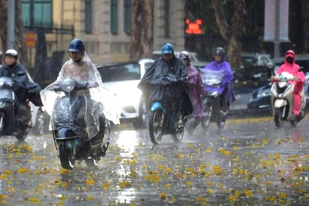 Khu vực Hà Nội ngày và đêm nay có mưa vừa và dông, cục bộ có mưa to (thời gian mưa lớn tập trung vào chiều tối và đêm). (Ảnh minh họa)