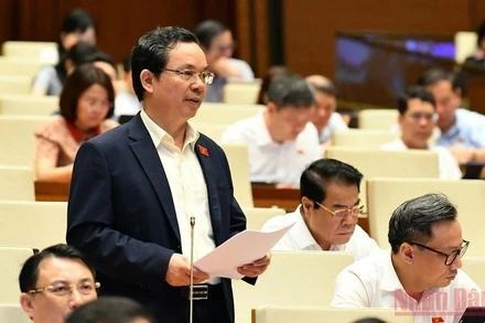 Đại biểu Hoàng Văn Cường (Hà Nội) phát biểu thảo luận tại hội trường, sáng 10/6. (Ảnh: LINH KHOA NGUYÊN)