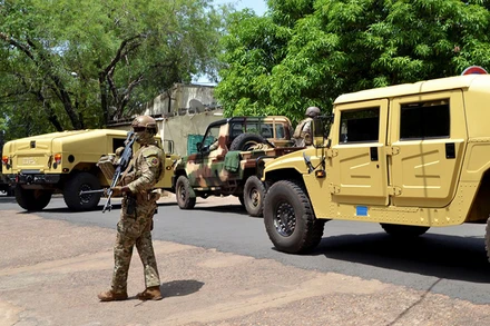 Binh sĩ của quân đội Mali. (Ảnh: Reuters)