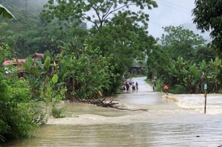 Nguy cơ cao đến rất cao xảy ra lũ quét, sạt lở đất tại các tỉnh vùng núi Bắc Bộ và ngập úng vùng trũng, thấp. (Ảnh minh họa)