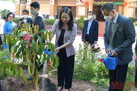 Phó Chủ tịch nước Võ Thị Ánh Xuân trồng cây tại Khu di tích Chủ tịch Hồ Chí Minh, tỉnh Udon Thani, Thái Lan. (Ảnh: Tuấn Anh)