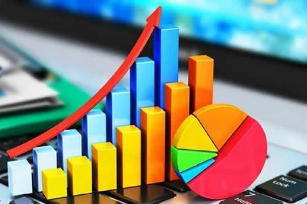 (Ảnh minh họa: baochinhphu.vn)