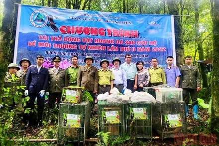 Thả 20 cá thể động vật hoang dã về môi trường tự nhiên ở Vườn quốc gia Hoàng Liên (Lào Cai).