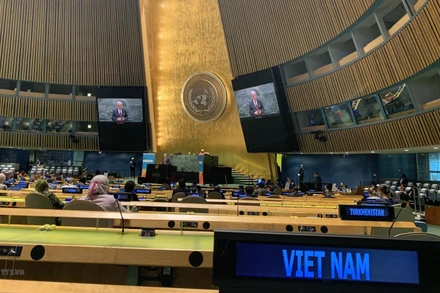 (Ảnh: Hữu Thanh/TTXVN)