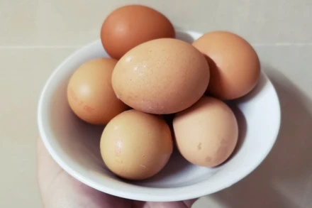 Lễ hội trứng đầu tiên ở Hà Nội