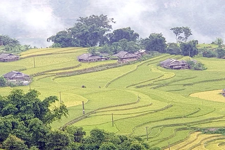 Bản Phùng, huyện Hoàng Su Phì, Hà Giang, là địa chỉ hấp dẫn du khách. (Ảnh minh họa)