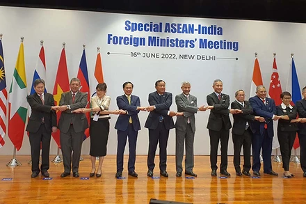 Các Bộ trưởng ASEAN và Ấn Độ dự Hội nghị (Ảnh: Bộ Ngoại giao).