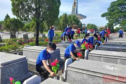 Thay hoa sen mới tại các phần mộ liệt sĩ.