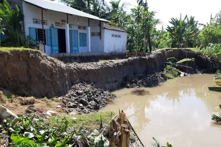 Sạt lở bờ sông đang uy hiếp nhà dân tại Sóc Trăng.