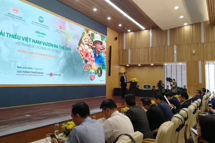 Thứ trưởng Thông tin và Truyền thông Phạm Anh Tuấn phát biểu khai mạc Diễn đàn.