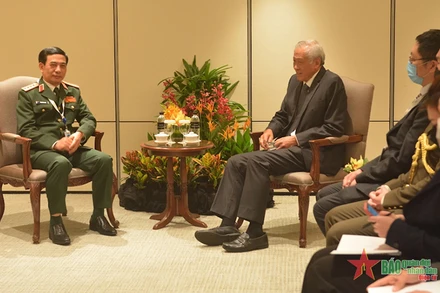 Bộ trưởng Phan Văn Giang gặp song phương Bộ trưởng Quốc phòng Singapore Ng Eng Hen. Ảnh: qdnd.vn.