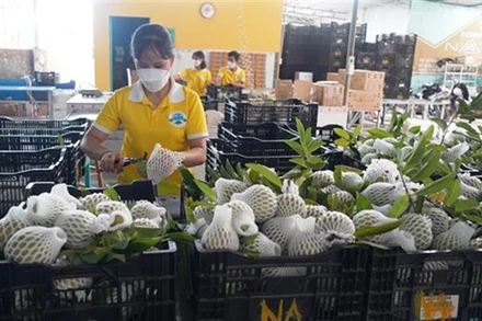 Nhiều doanh nghiệp của Ai Cập rất quan tâm đến các mặt hàng nông sản, thủy sản, dược mỹ phẩm... của Việt Nam.