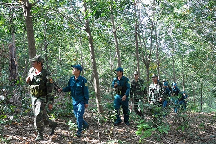 Lực lượng tự vệ của Công ty 72, Binh đoàn 15 phối hợp lực lượng Biên phòng, quân sự tuần tra bảo vệ địa bàn.