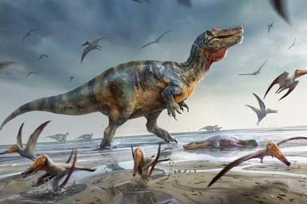 Bức tranh mô phỏng dựa trên những mẫu hóa thạch vừa được phát hiện cho thấy một con khủng long ăn thịt lớn được mệnh danh là "White Rock spinosaurid" đứng trên một bãi biển, xung quanh có các con thuộc loài bò sát bay được gọi là pterosaurs. (Ảnh: REUTERS).