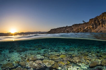 Cảnh quan dưới nước. (Ảnh: Anders Nyberg/UN)