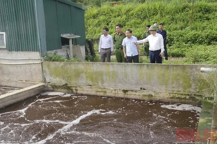 Đoàn kiểm tra của Sơn La kiểm tra tại Công ty trách nhiệm hữu hạn sản xuất và thương mại Cát Quế.