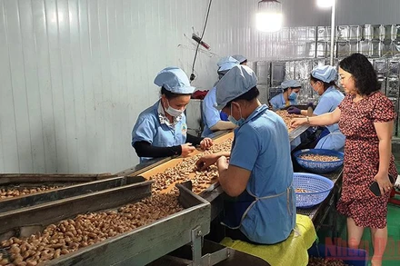 Nhiều lĩnh vực kinh tế Đắk Nông đang phục hồi sau đại dịch Covid-19.