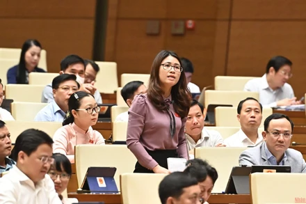 Đại biểu Đinh Thị Ngọc Dung chất vấn Bộ trưởng Tài chính về vấn đề giá sách giáo khoa. (Ảnh: LINH NGUYÊN)