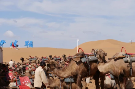 Sa mạc Tengger (hay Tenggeli theo phiên âm tiếng Trung Quốc) nằm giữa ba địa phương là khu tự trị dân tộc Hồi Ninh Hạ, khu tự trị Nội Mông Cổ và tỉnh Cam Túc, có diện tích 43.000 km2.